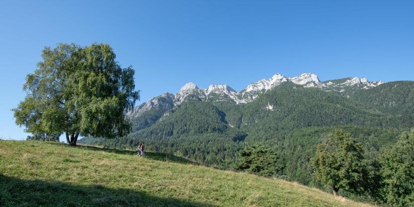 Casa Vacanza Da Nonna Elena Vattaro Bagian luar foto